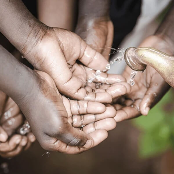 Sustainability Practices